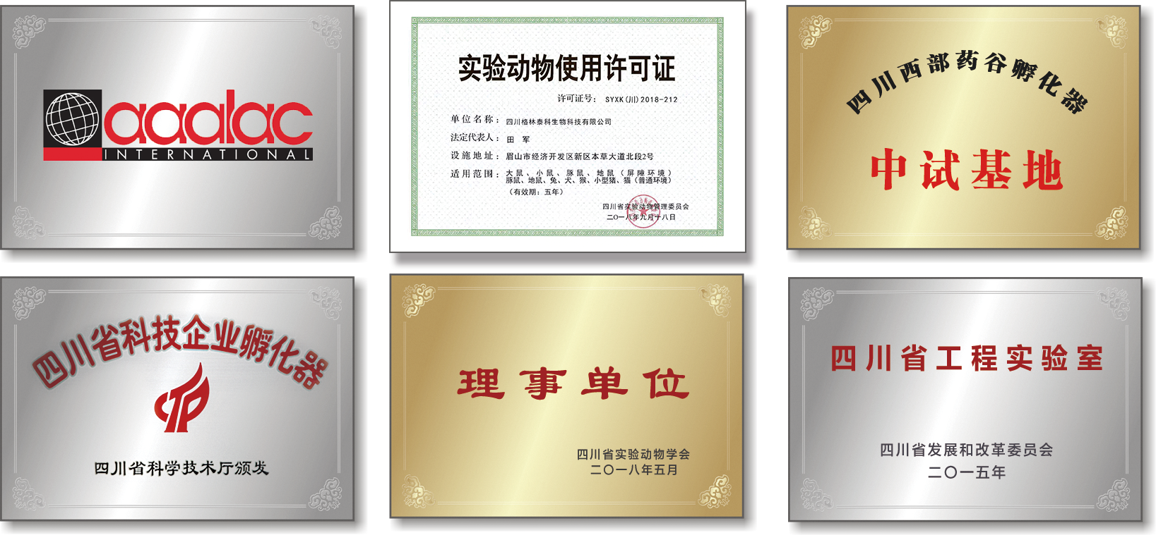中试基地.png