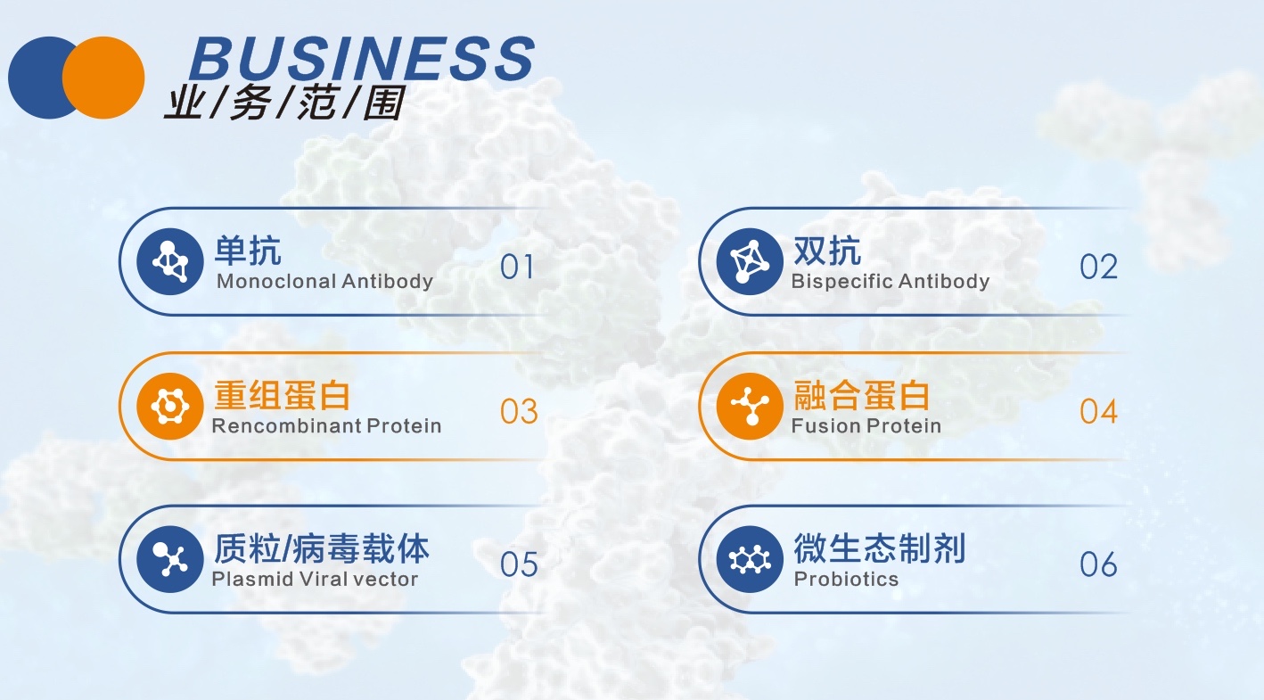 业务范围.JPG
