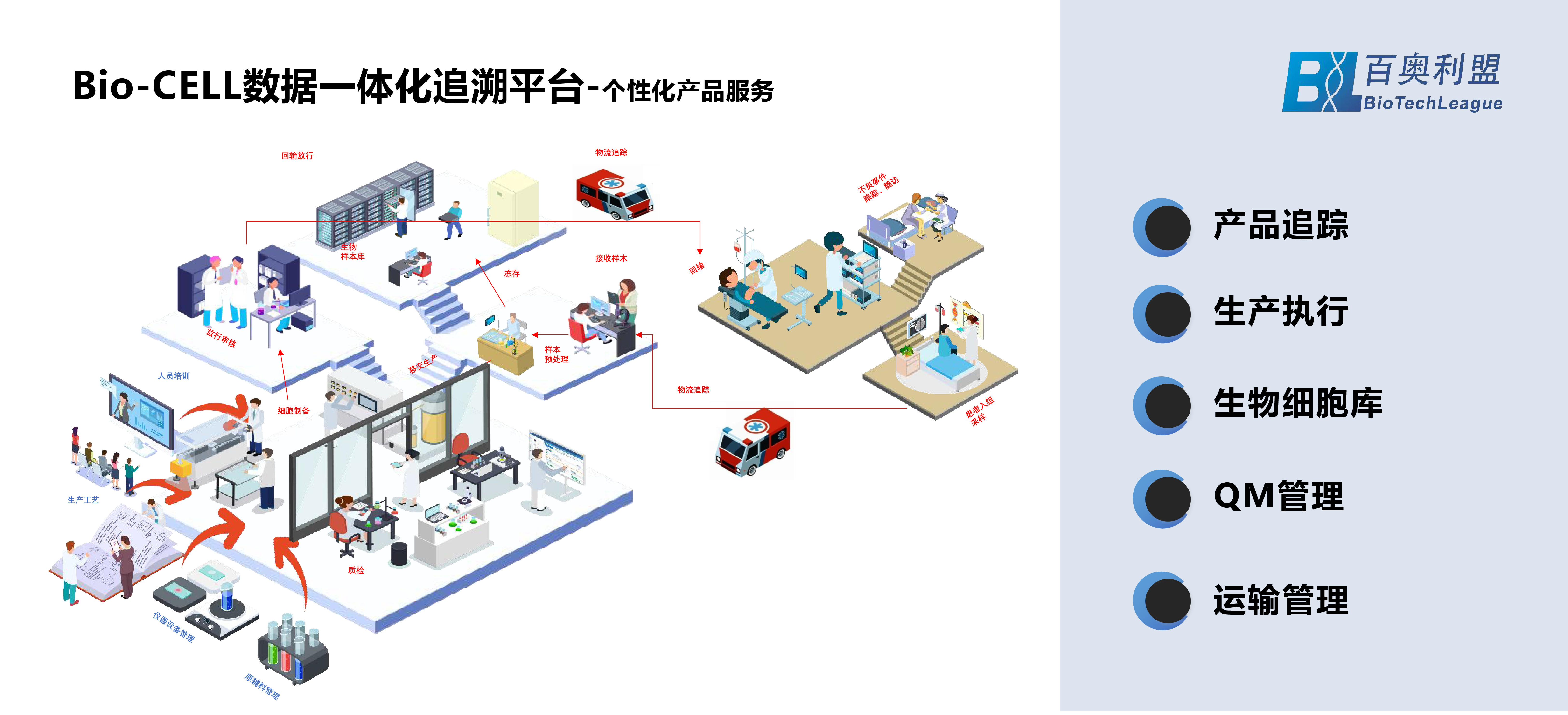 CELL-混动图集-05.png