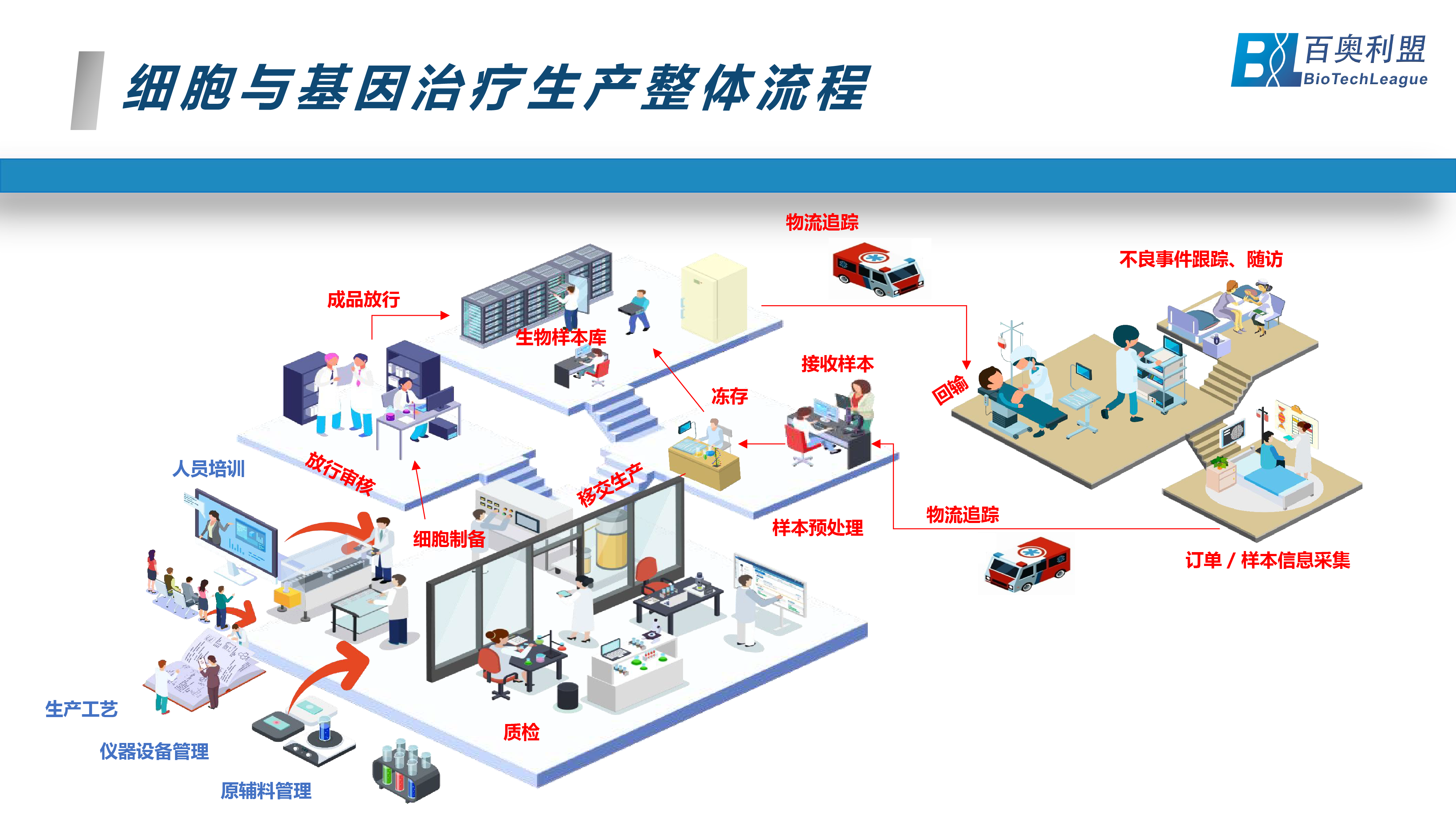 基因治疗-展望生命科学新纪元 百奥利盟Bio-COI细胞与基因治疗一体化追溯系统为创新生物药企业中美申报之路保驾护航-03.png