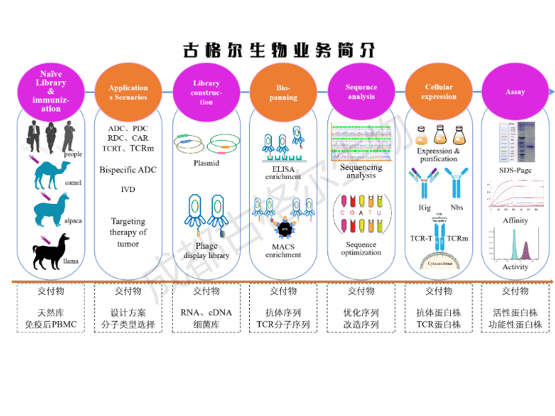 古格尔业务简介图.png