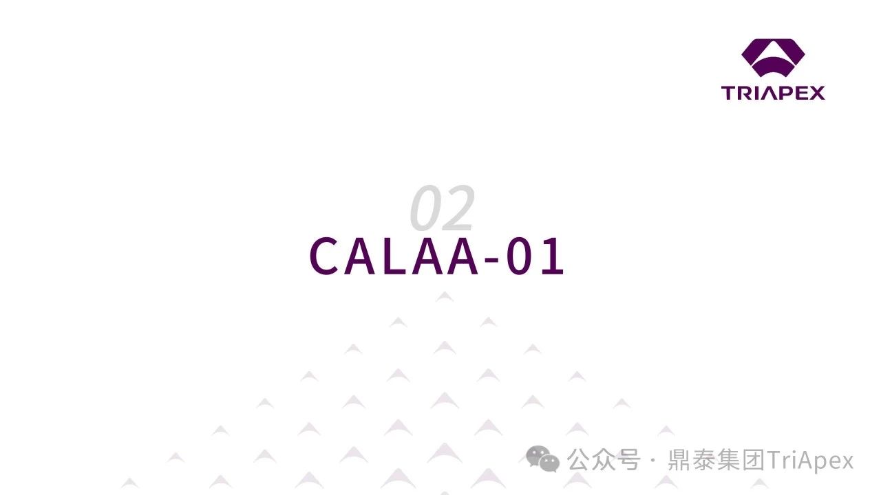 1708593546929011.jpg 5.jpg