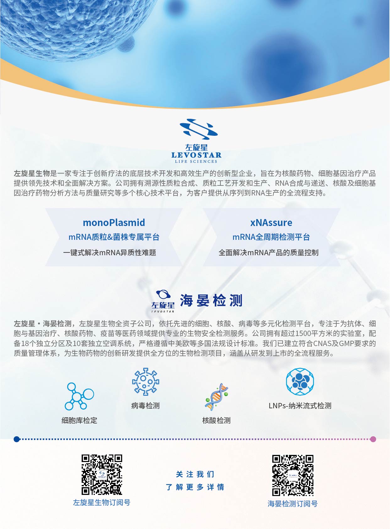 左旋星-插页-01.jpg