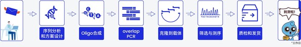 图5.擎科生物基因合成流程图