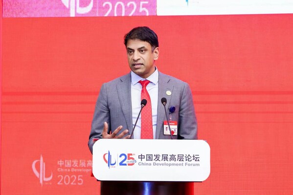 万思瀚在中国发展高层论坛发言