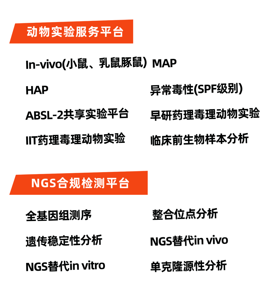 03.png