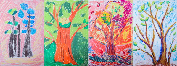 学员与志愿者共创的春夏秋冬“生命之树”