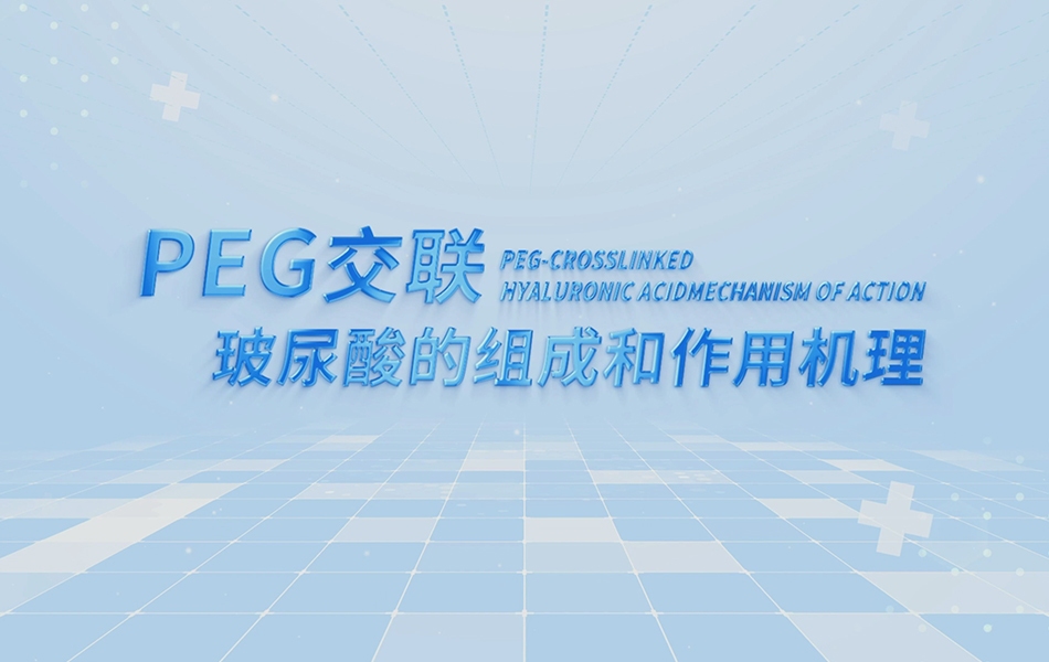 北京键凯科技-PEG交联玻尿酸的组成和作用机理