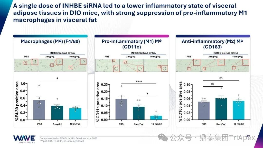 1762414125641032.jpg 677.jpg