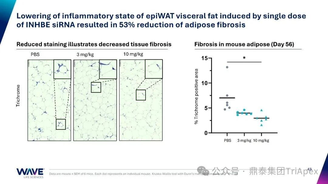 1762414132385500.jpg 678.jpg