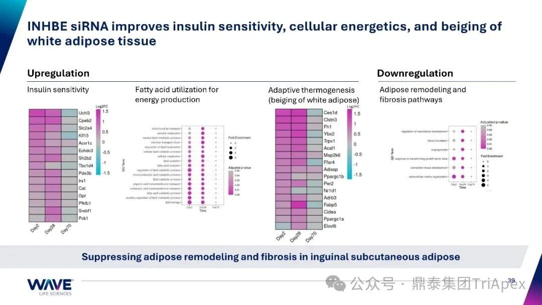 1762414141760975.jpg 679.jpg