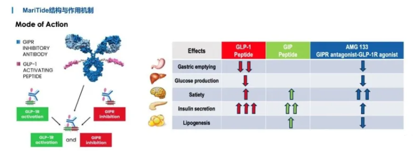 1764817424641420.png 780.png