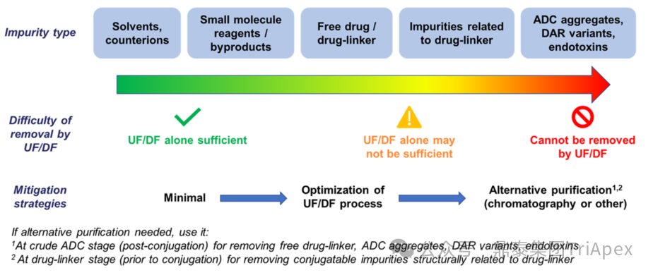 1764897366753846.png 562.png