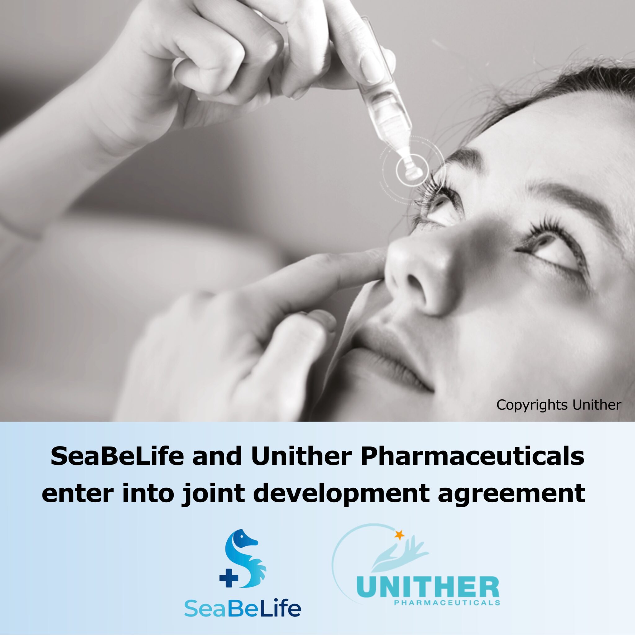 SeaBeLife-Unither-2-2048x2048 (1).jpg