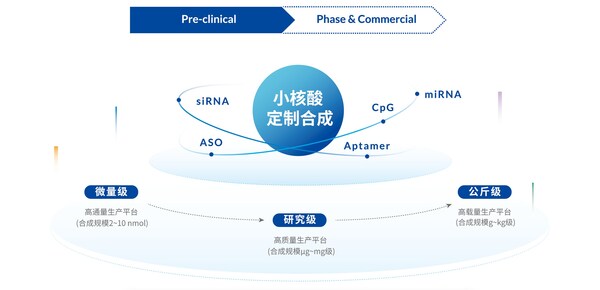 擎科生物小核酸定制合成