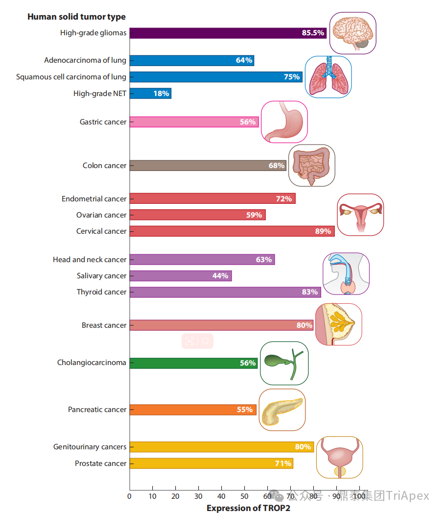 1767592783880084.png 555.png