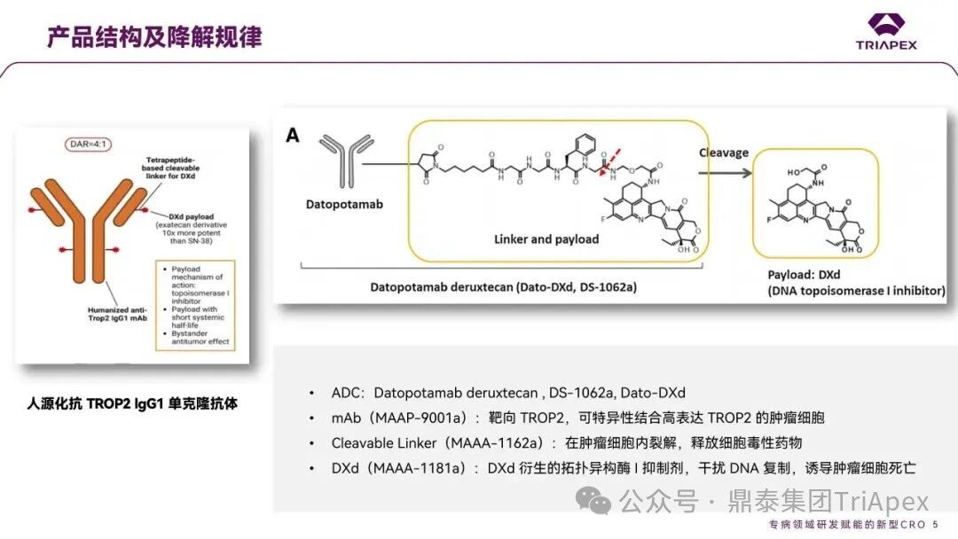 1767592807878005.jpg 558.jpg