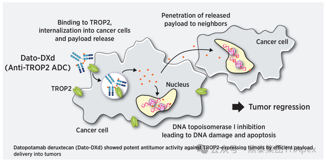 1767592815482286.png 559.png