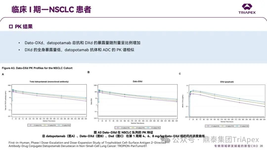 1767593006591318.jpg 581.jpg