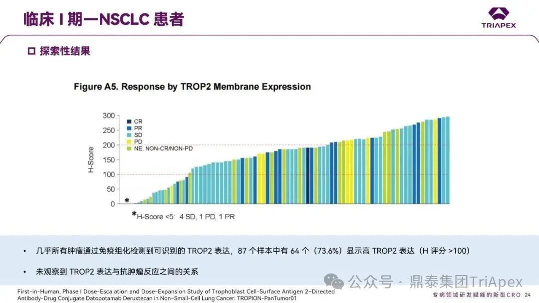 1767593040740200.jpg 585.jpg