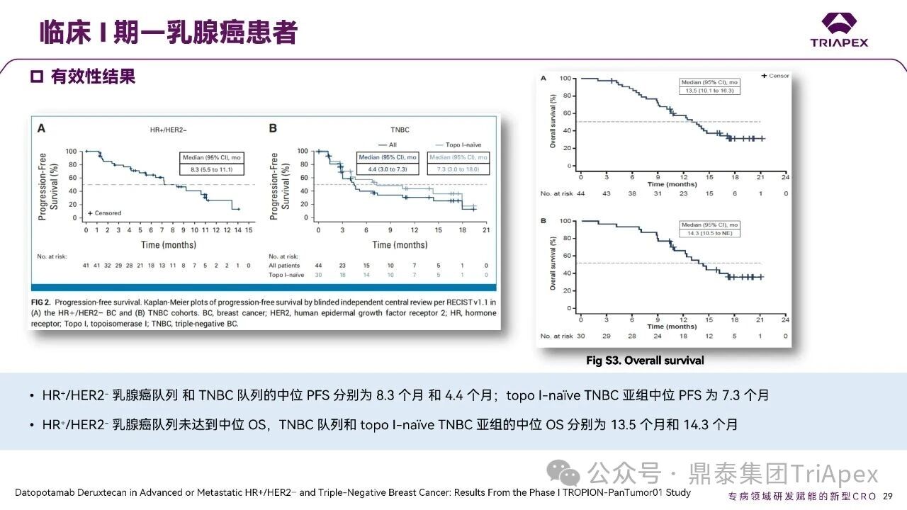 1767593076387726.jpg 589.jpg