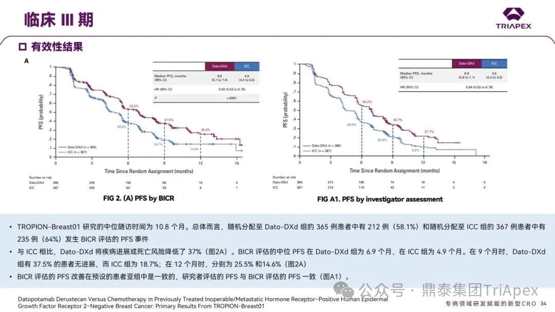 1767593158661708.jpg 595.jpg