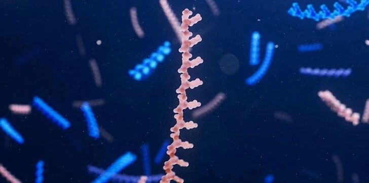 1768382066735574.jpg 555.jpg