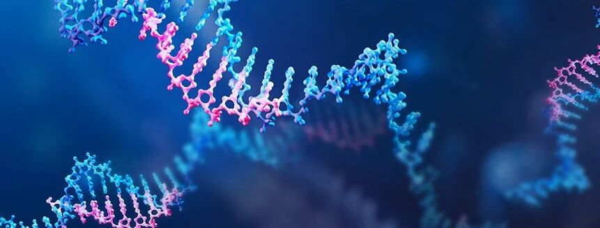 1768382075689282.jpg 556.jpg