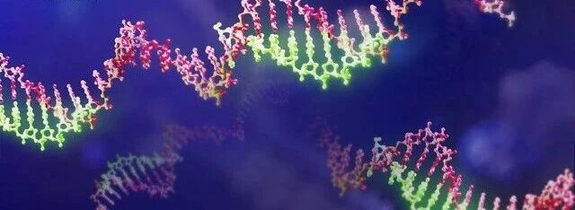 1768382083614911.jpg 557.jpg