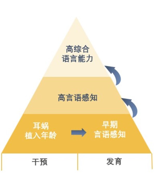 “植入年龄”和“早期言语感知能力”是决定听损儿童学龄期能否获得“高言语感知”和“高综合语言能力”的两大关键因素 “植入年龄”和“早期言语感知能力”是决定听损儿童学龄期能否获得“高言语感知”和“高综合语言能力”的两大关键因素