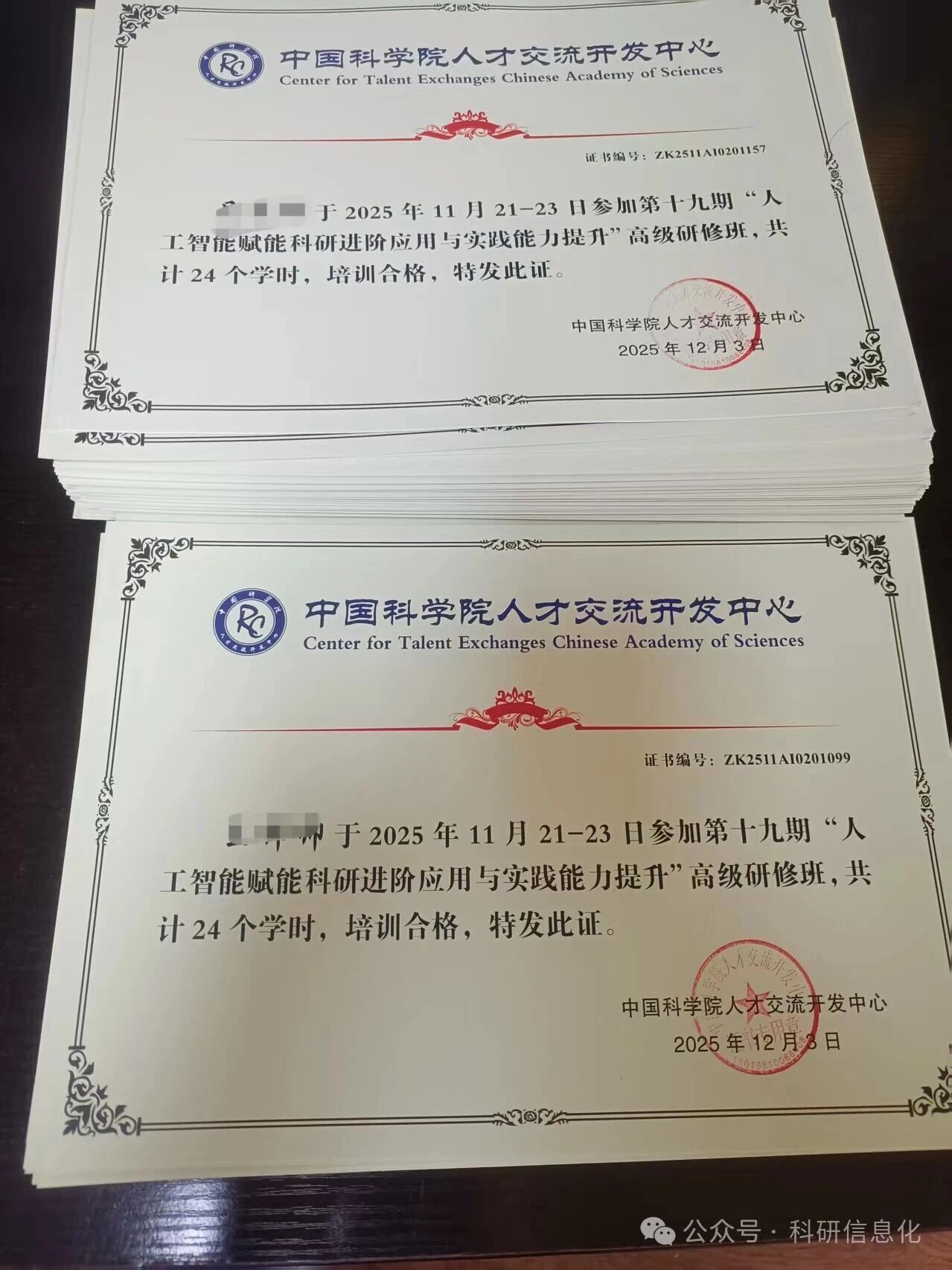 1774519219510115.jpg 2.jpg