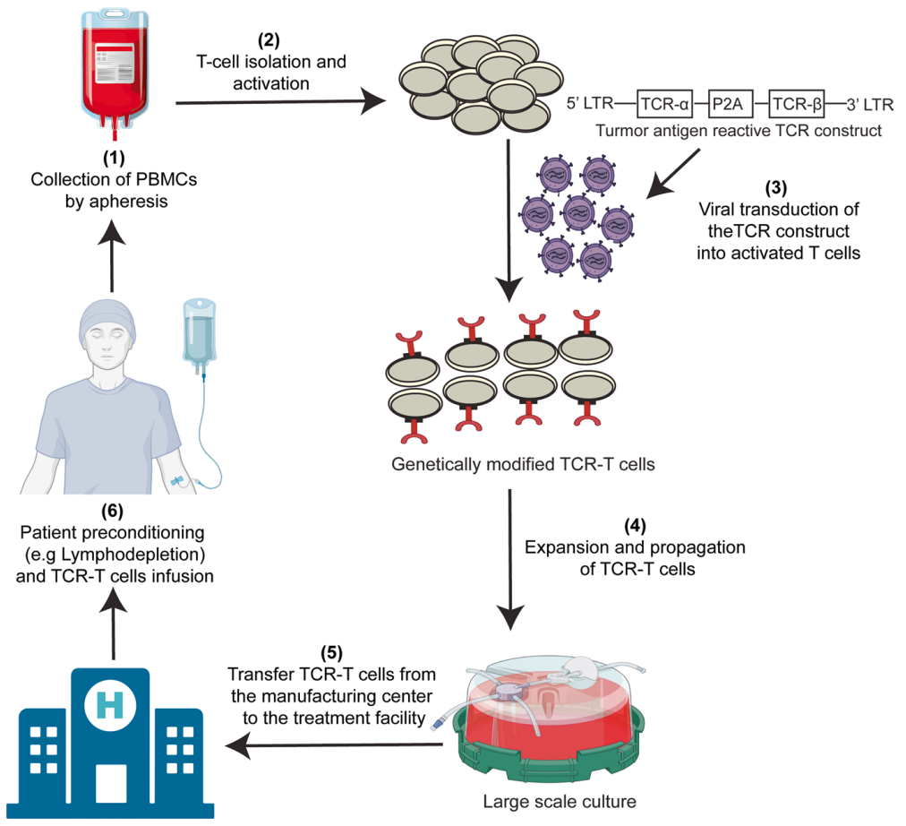 1775528533313591.png 557.png