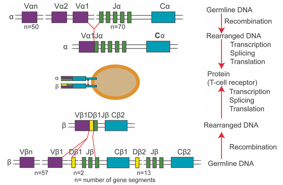 1775528541517965.png 558.png