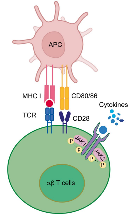 1775528577794689.png 561.png