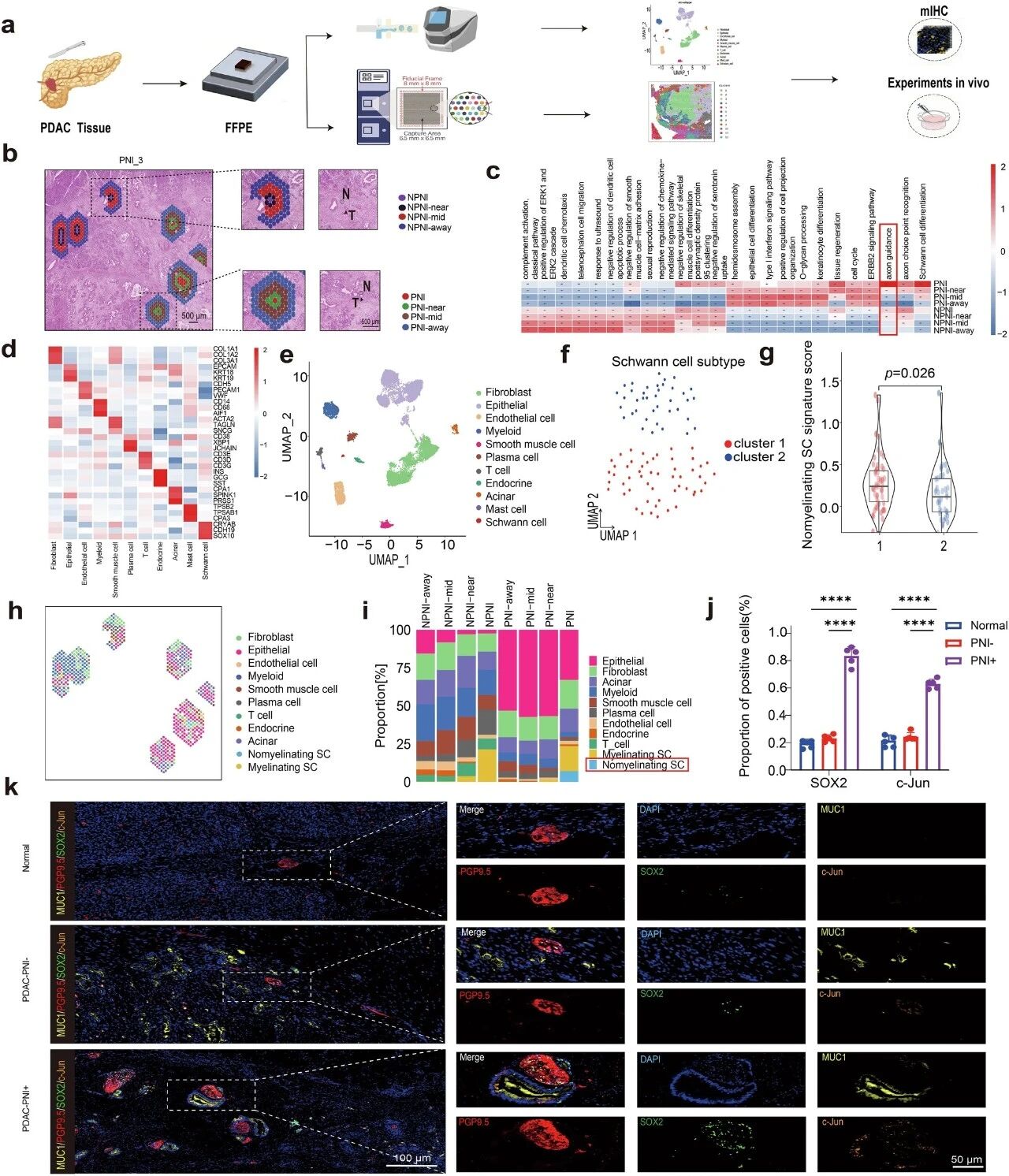 1775634661766809.jpg 556.jpg