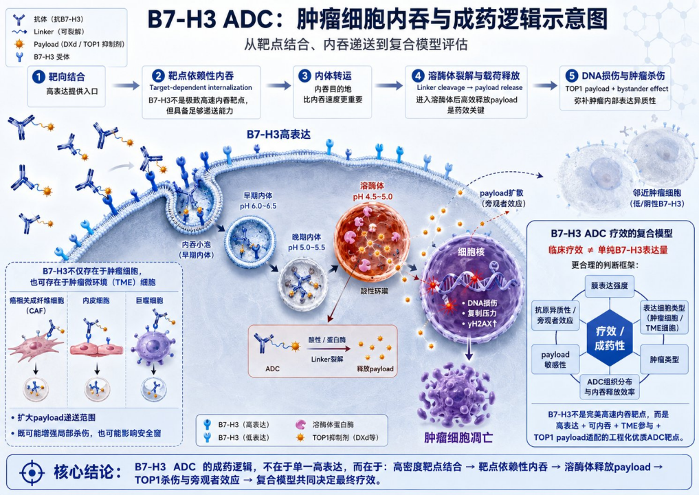 1779866082911513.png 2.png