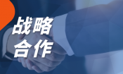 战略合作丨微谱生物科技携手 REPROCELL，为中国创新细胞疗法出海打造“合规溯源”一站式解决方案