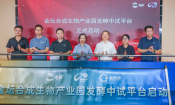 合成生物长坡厚雪，小团队困于千万级中试：平台架桥穿越“死亡谷”